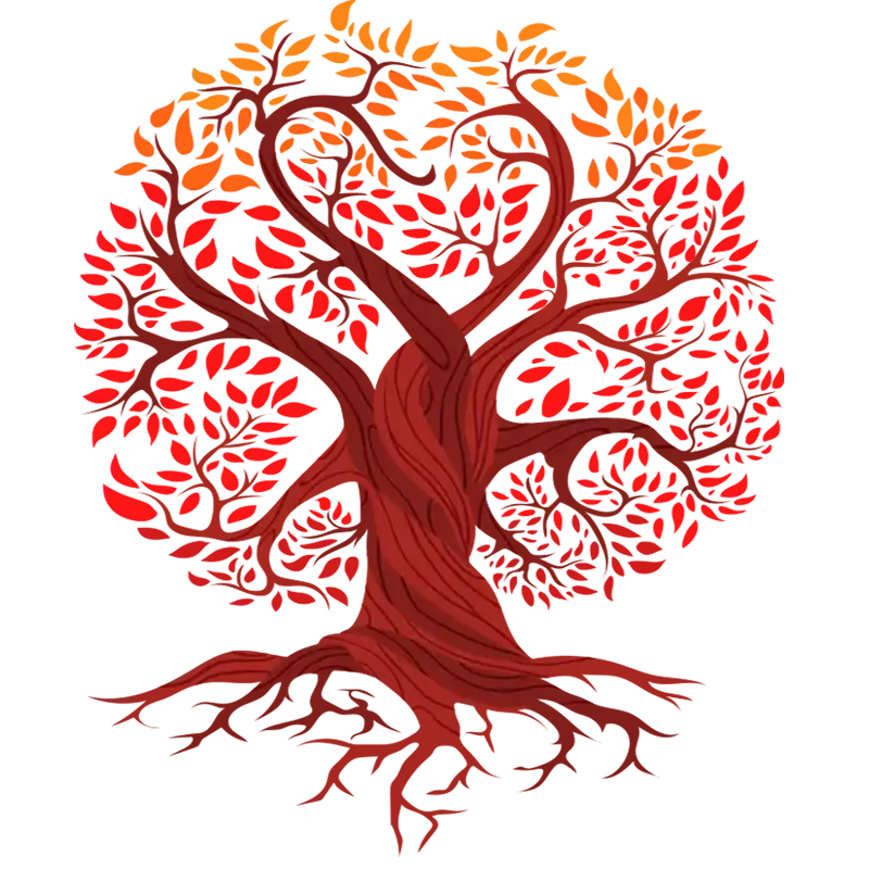 درخت زندگی ، سین جاوید